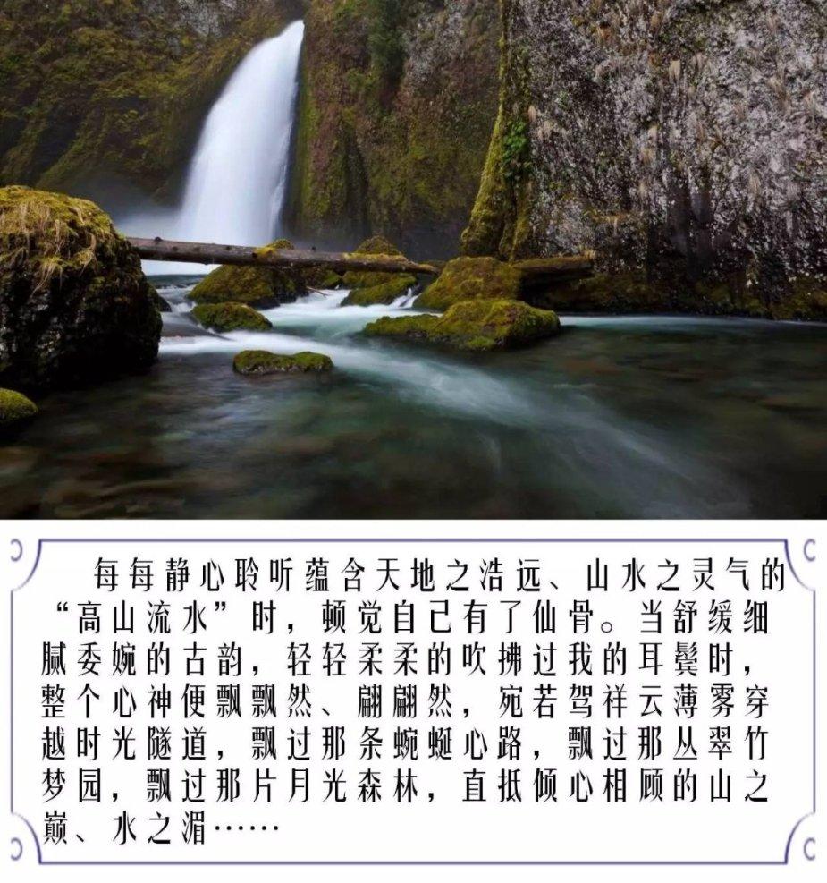 除虫大师